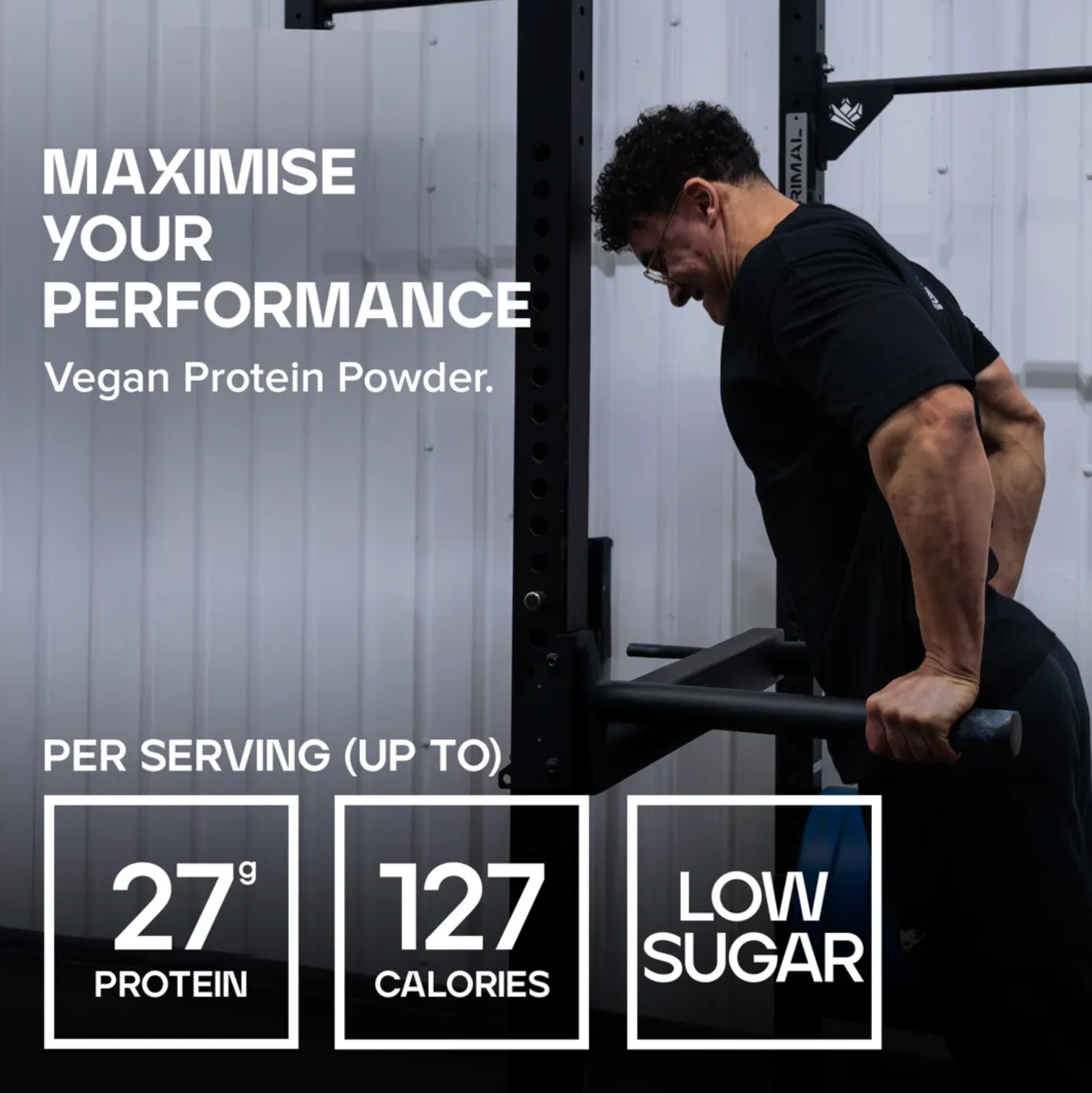 Pea Protein Isolate |  Emixer